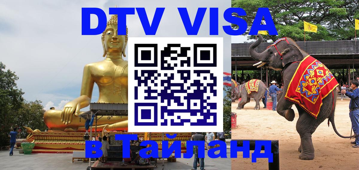 Сколько стоит DTV виза — актуальные цены, оформление даже без документов - 19.11.2025 